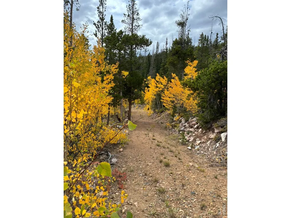 540 Elkridge Road Red Feather Lakes, CO 80545