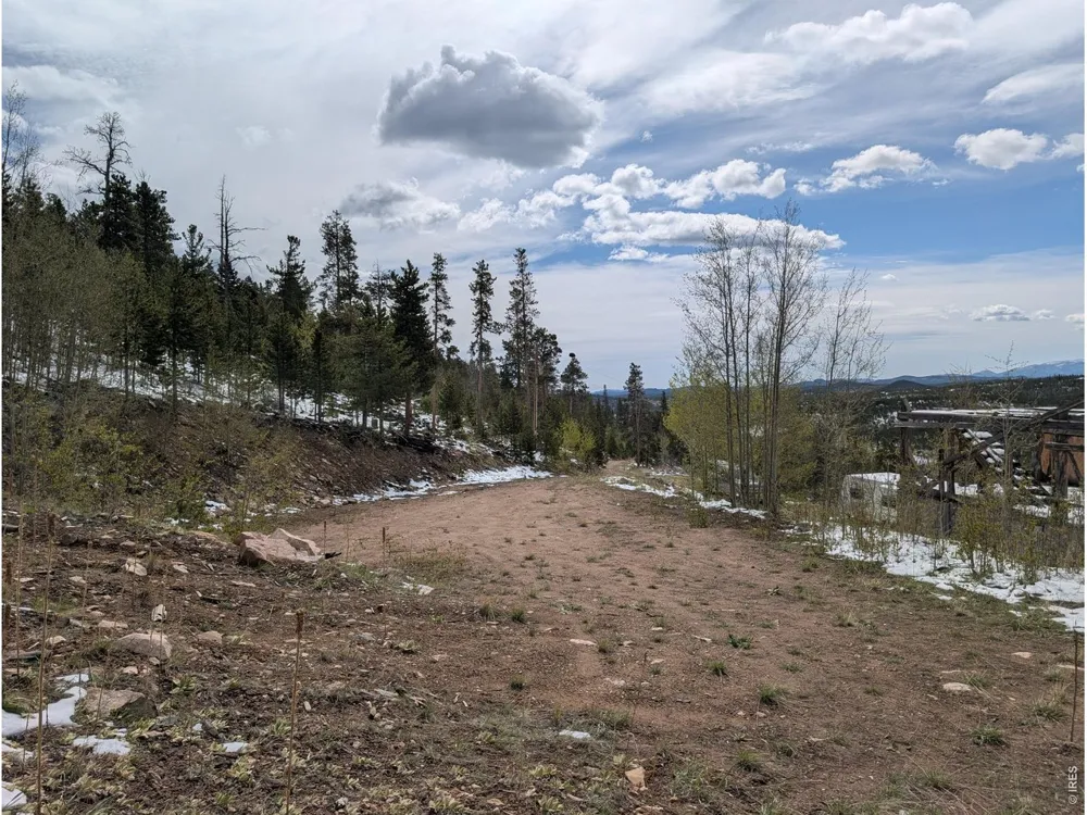 540 Elkridge Road Red Feather Lakes, CO 80545