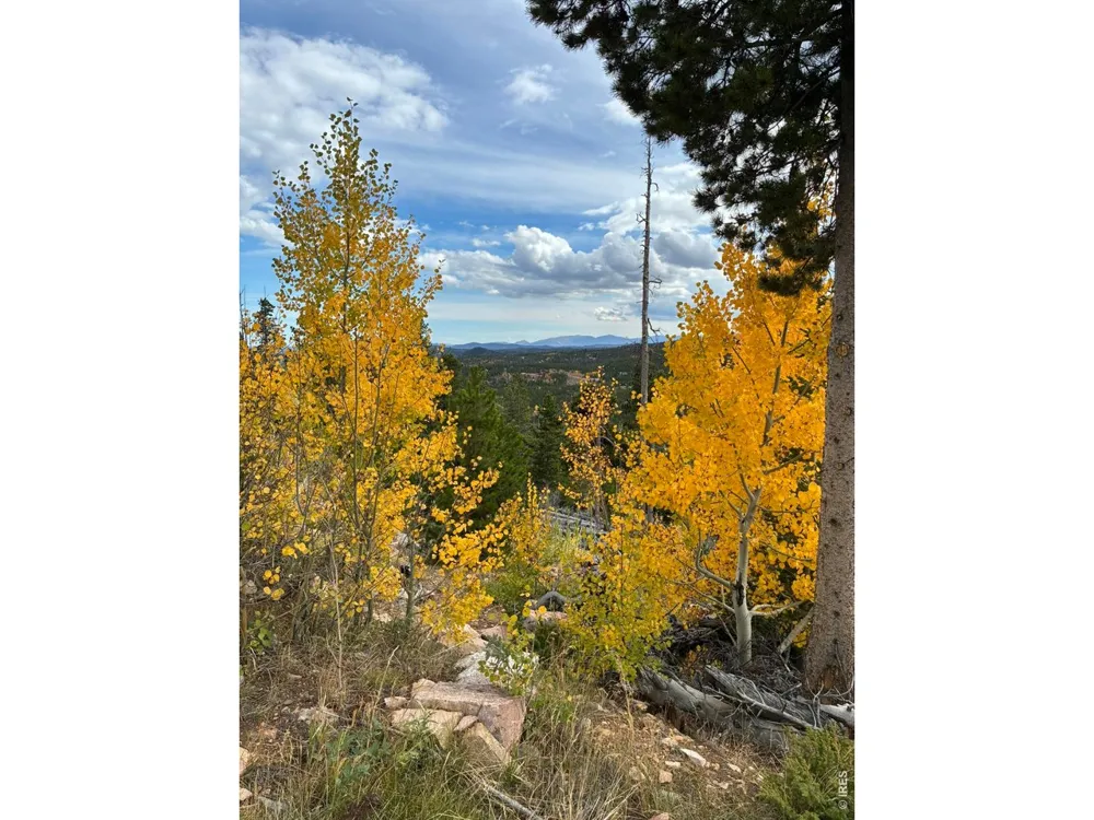 540 Elkridge Road Red Feather Lakes, CO 80545