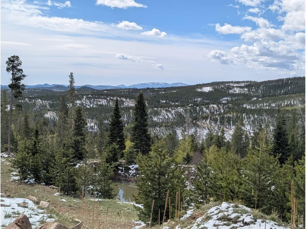 540 Elkridge Road Red Feather Lakes, CO 80545