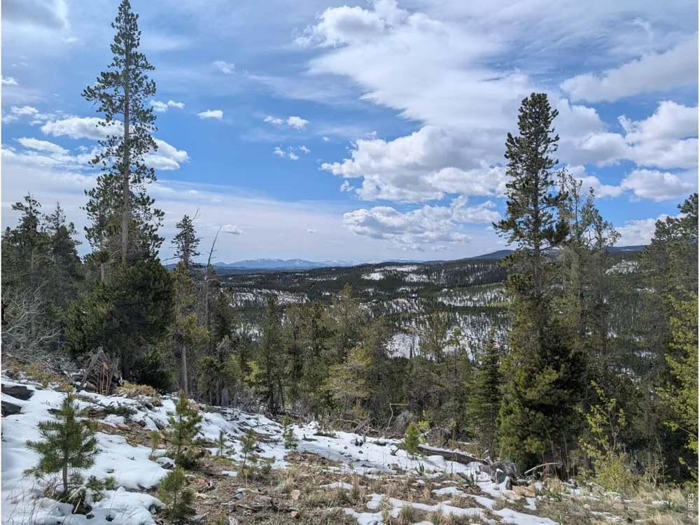 540 Elkridge Road Red Feather Lakes, CO 80545