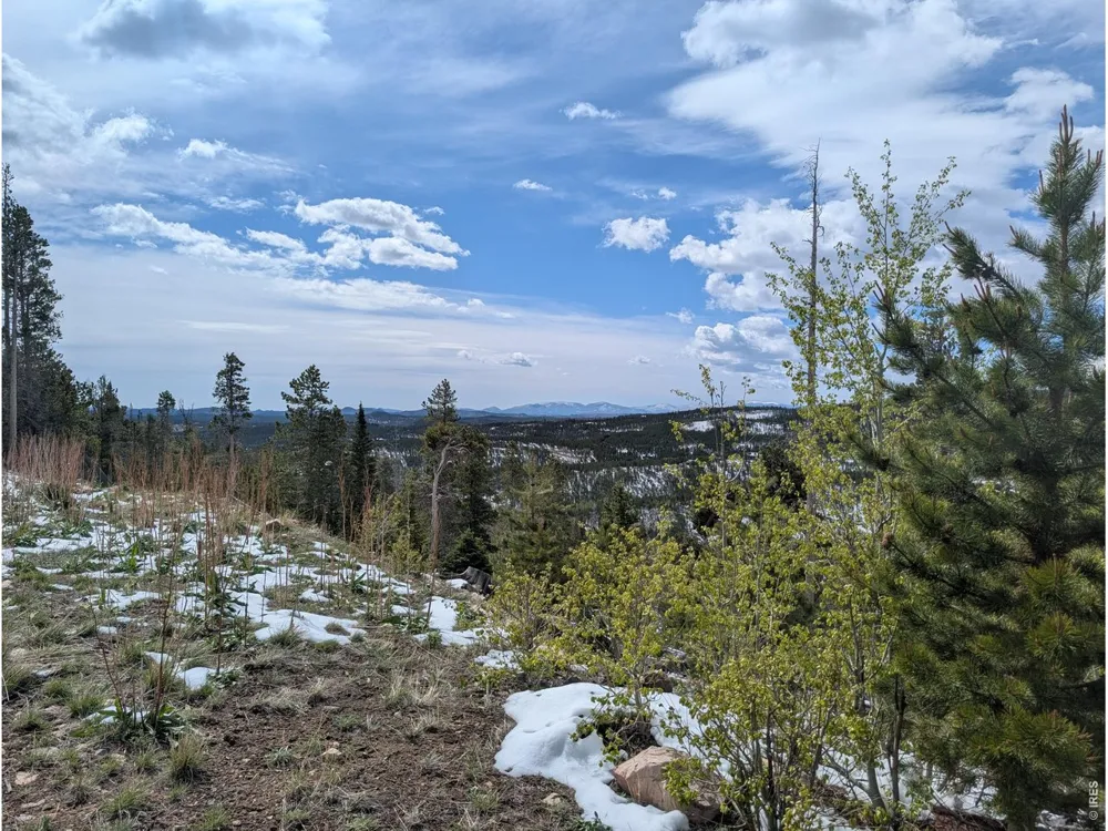 540 Elkridge Road Red Feather Lakes, CO 80545
