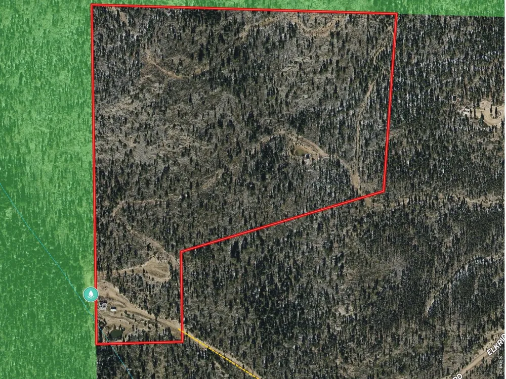 540 Elkridge Road Red Feather Lakes, CO 80545