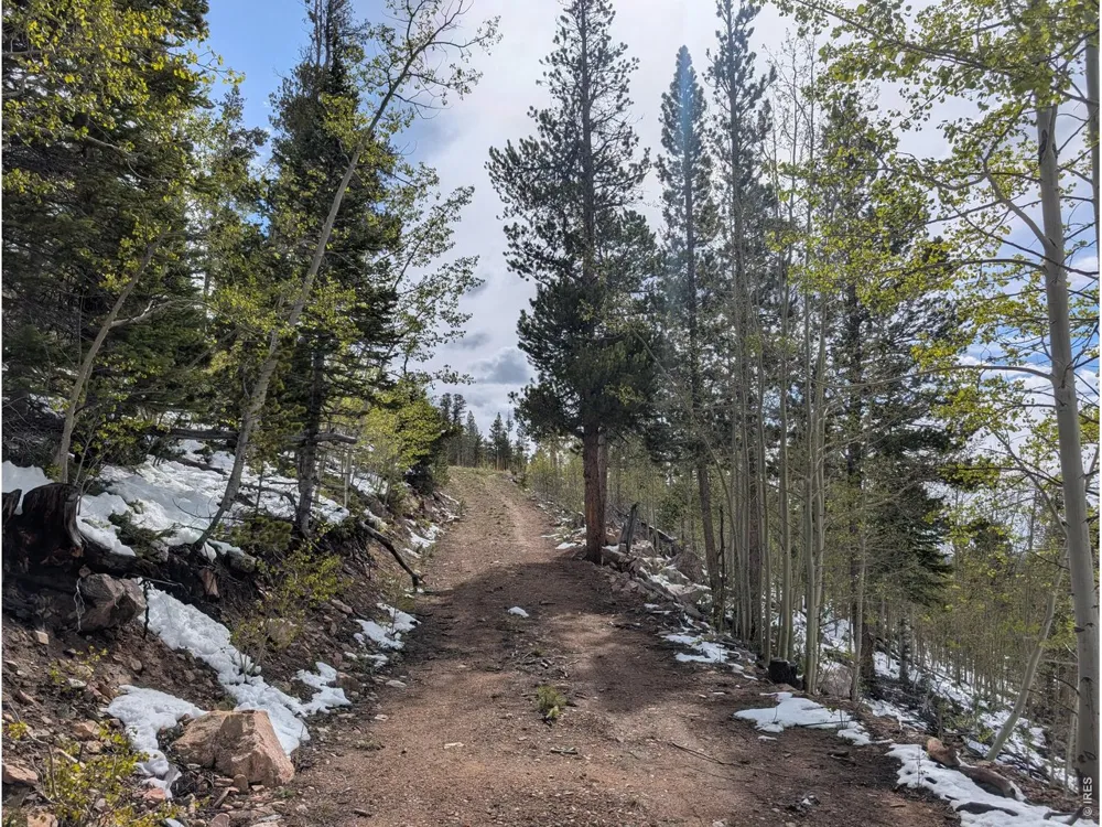540 Elkridge Road Red Feather Lakes, CO 80545