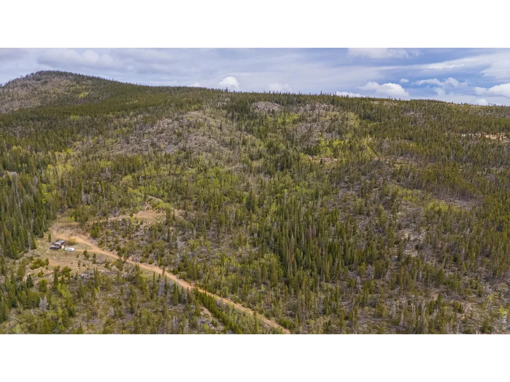 540 Elkridge Road Red Feather Lakes, CO 80545