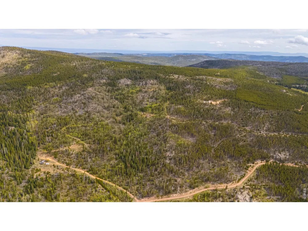 540 Elkridge Road Red Feather Lakes, CO 80545