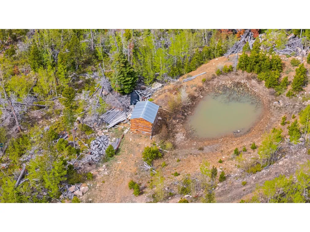 540 Elkridge Road Red Feather Lakes, CO 80545