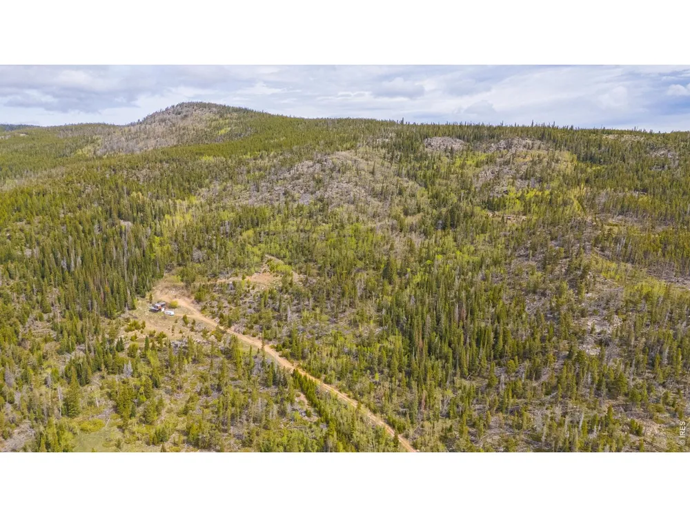 540 Elkridge Road Red Feather Lakes, CO 80545