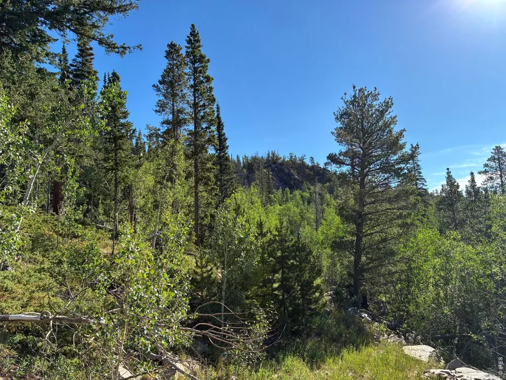 540 Elkridge Road Red Feather Lakes, CO 80545