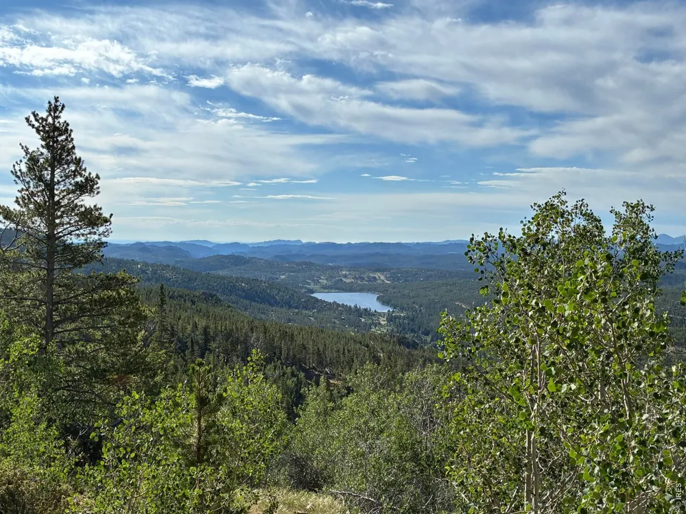 540 Elkridge Road Red Feather Lakes, CO 80545