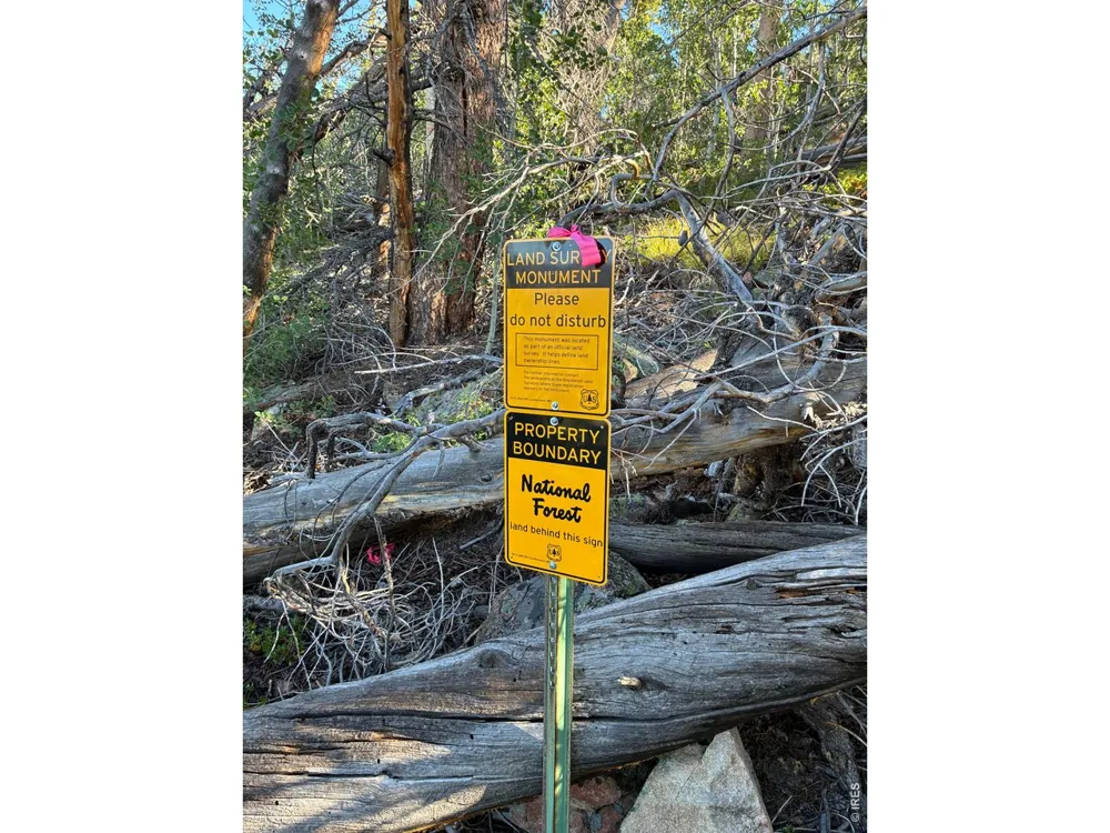 540 Elkridge Road Red Feather Lakes, CO 80545