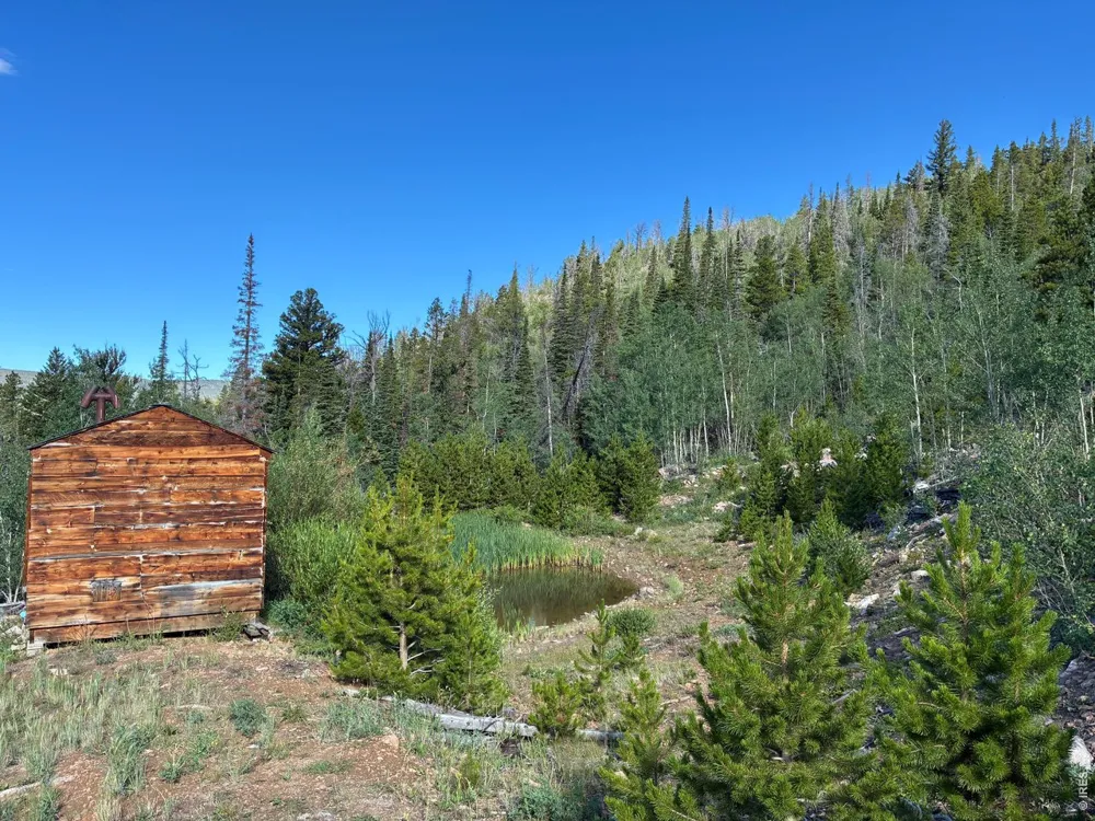 540 Elkridge Road Red Feather Lakes, CO 80545