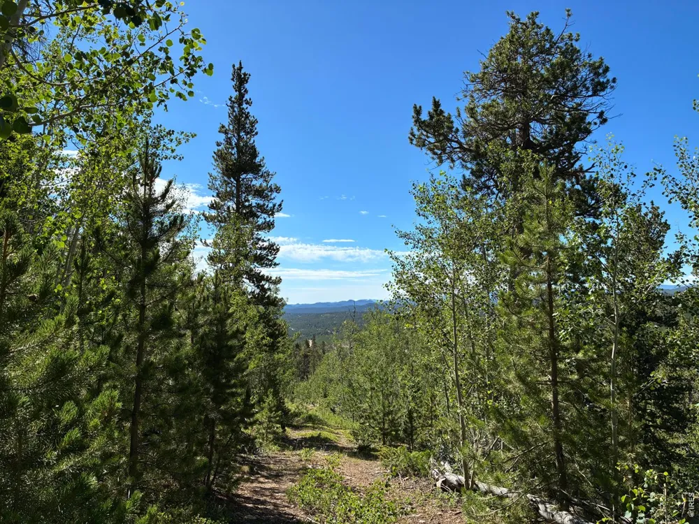 540 Elkridge Road Red Feather Lakes, CO 80545