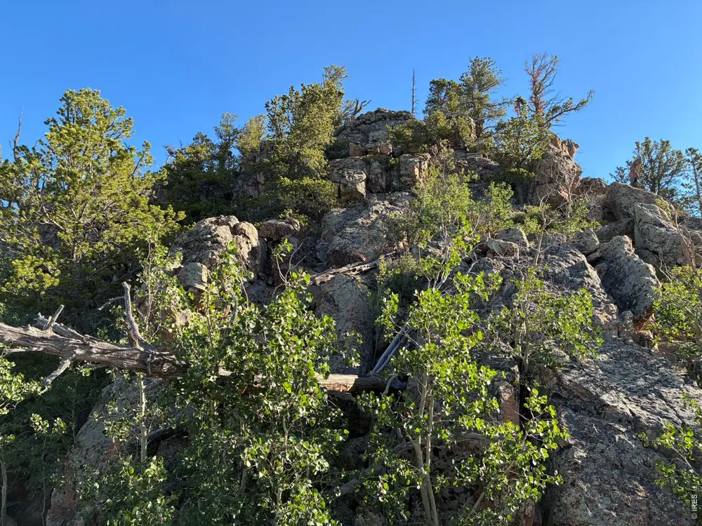 540 Elkridge Road Red Feather Lakes, CO 80545