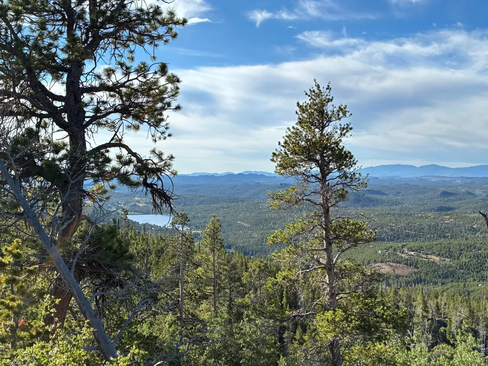540 Elkridge Road Red Feather Lakes, CO 80545
