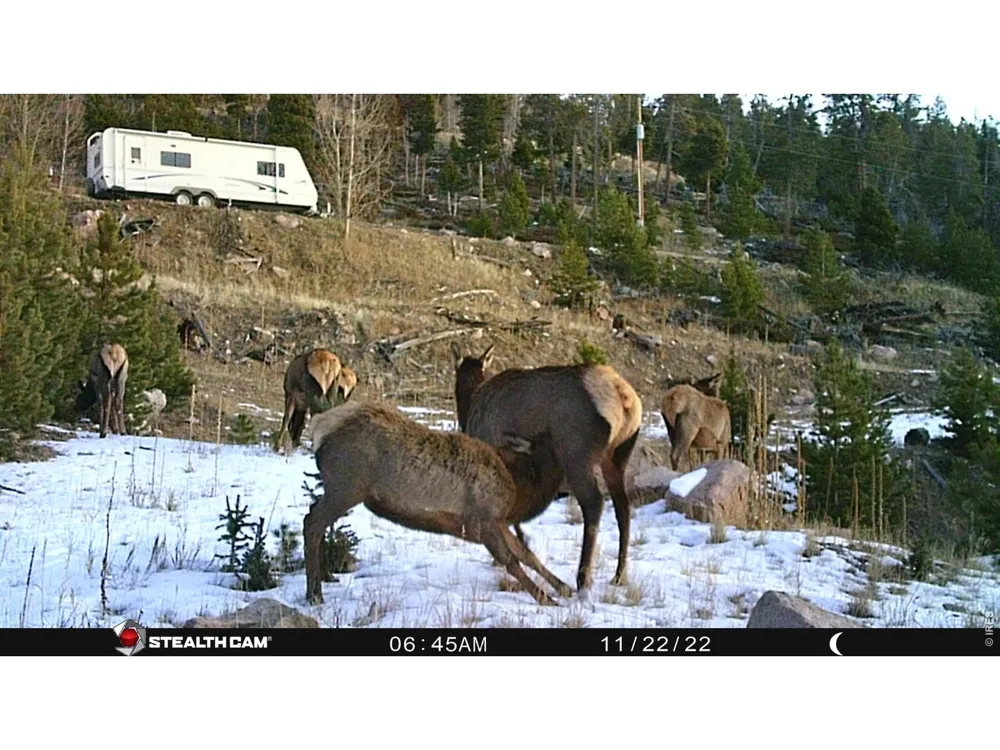 540 Elkridge Road Red Feather Lakes, CO 80545