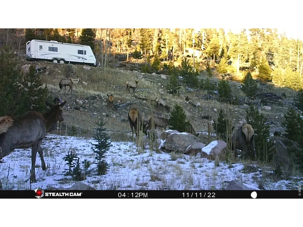 540 Elkridge Road Red Feather Lakes, CO 80545