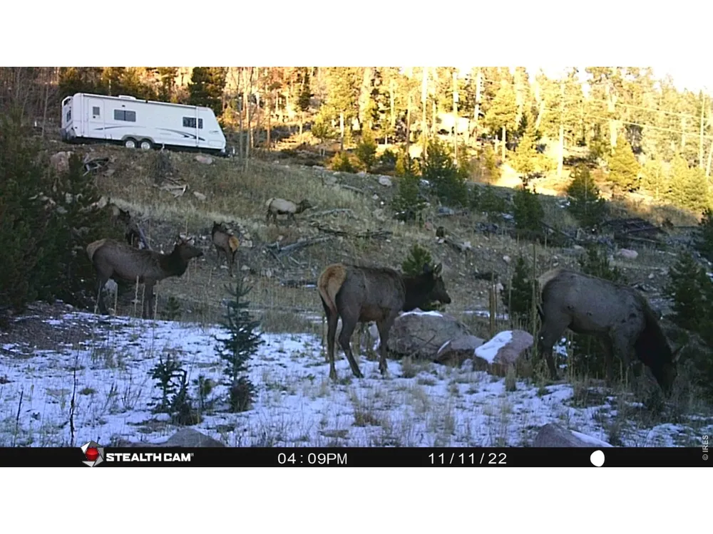 540 Elkridge Road Red Feather Lakes, CO 80545