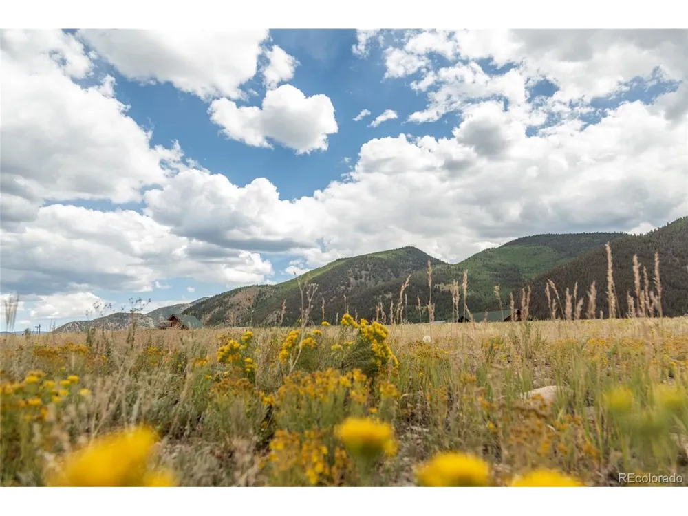 207 Sunset Court Creede, CO 81130