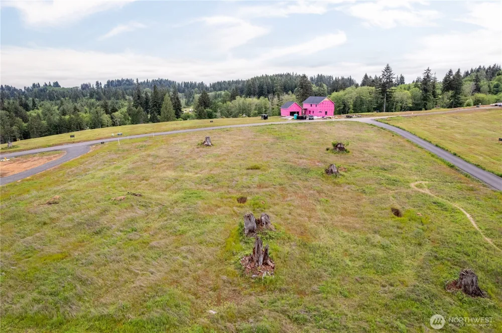 214 Ash Mountain Drive Castle Rock, WA 98611