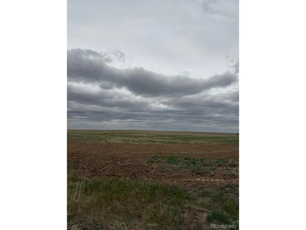 WCR 81 and Co Rd 8 Roggen, CO 80652