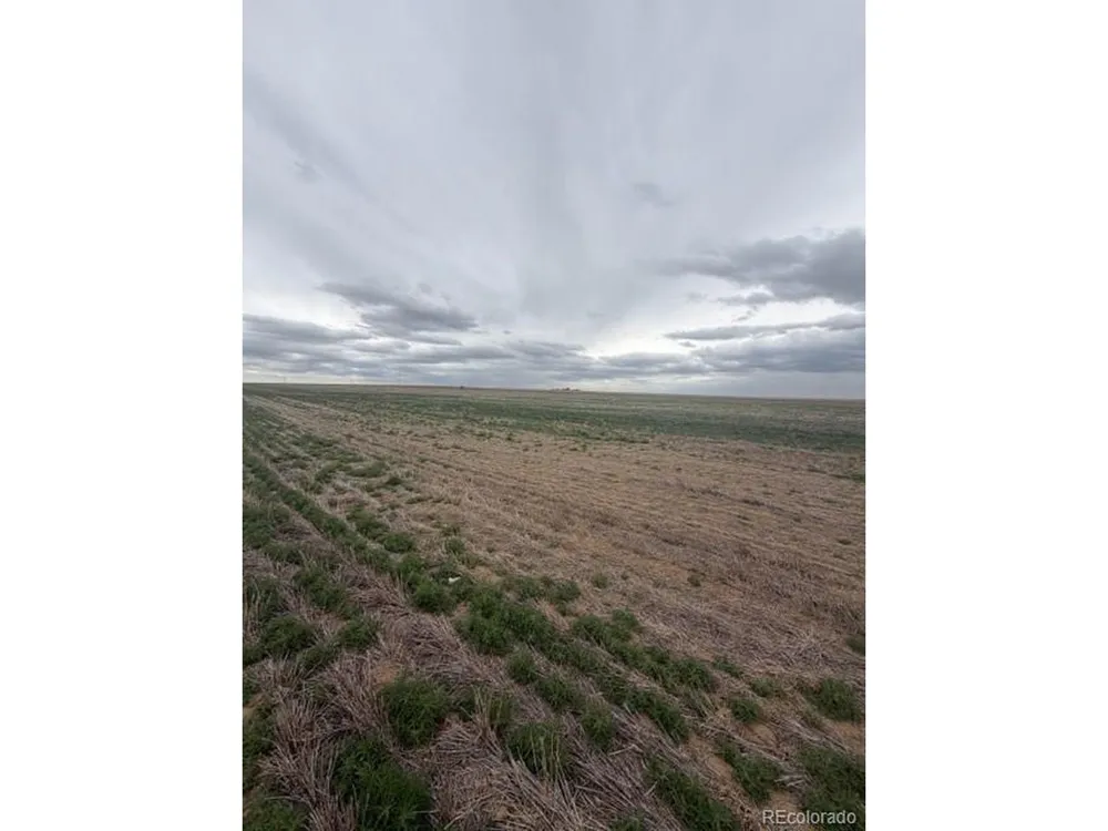 WCR 81 and Co Rd 8 Roggen, CO 80652