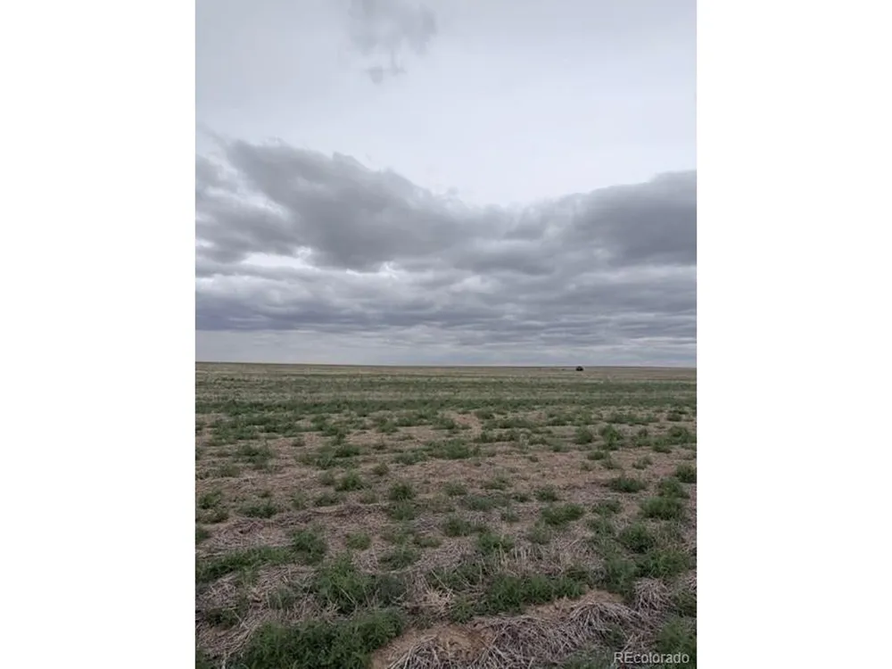 WCR 81 and Co Rd 8 Roggen, CO 80652