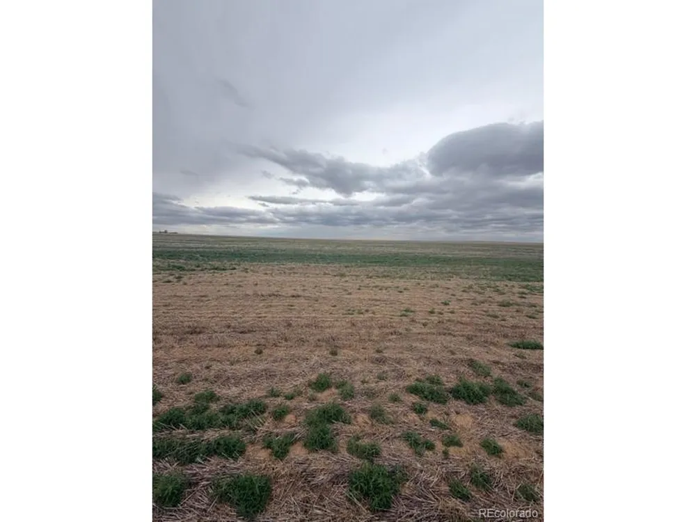 WCR 81 and Co Rd 8 Roggen, CO 80652