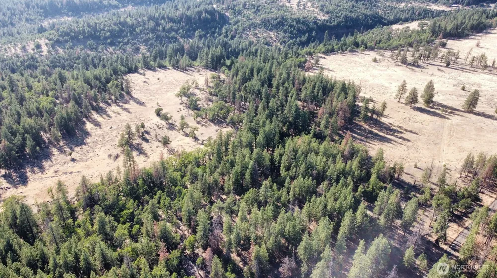 0 81.27 Ac Tanzanite Goldendale, WA 98620