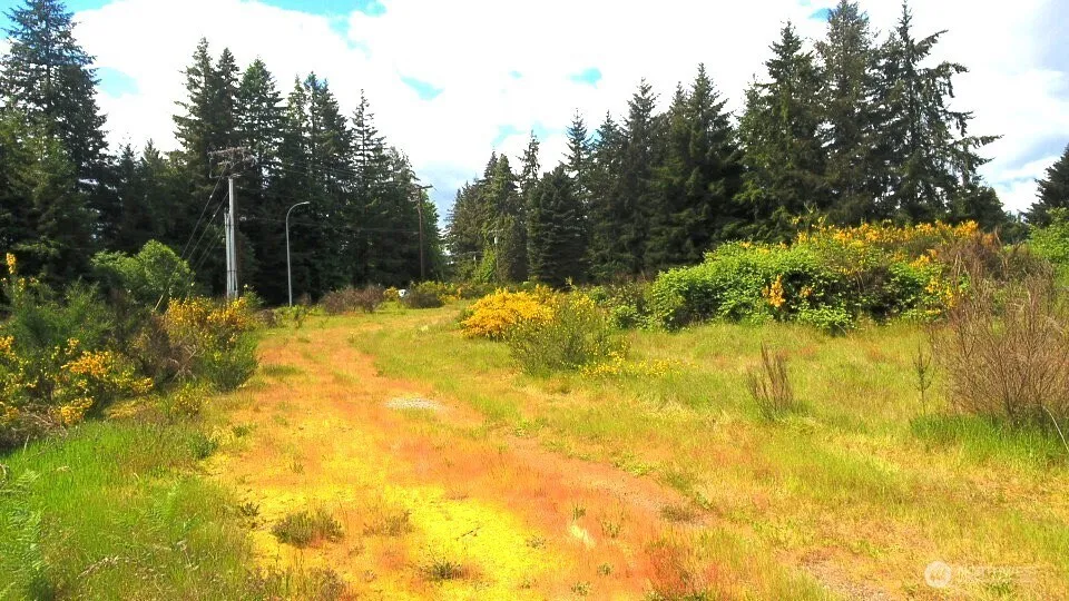 6501 Henderson Blvd SE Tumwater, WA 98501