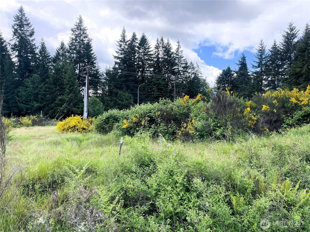 6501 Henderson Blvd SE Tumwater, WA 98501