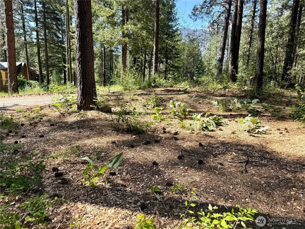 11 Highland Meadows Winthrop, WA 98862