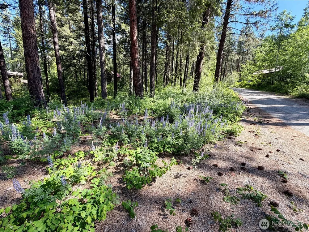 11 Highland Meadows Winthrop, WA 98862