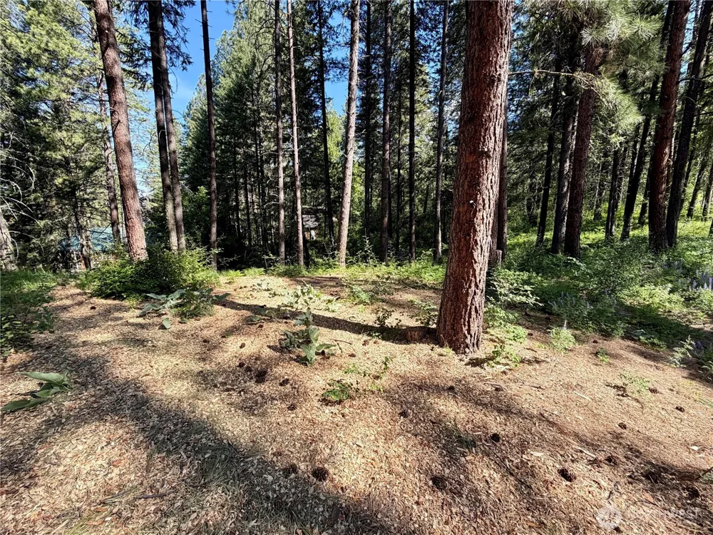 11 Highland Meadows Winthrop, WA 98862