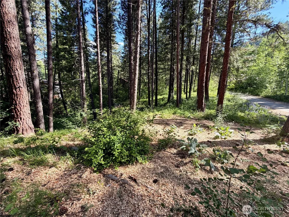 11 Highland Meadows Winthrop, WA 98862