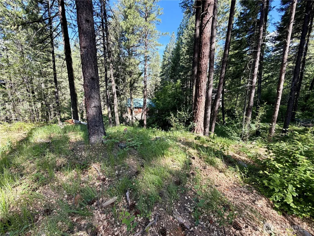 11 Highland Meadows Winthrop, WA 98862