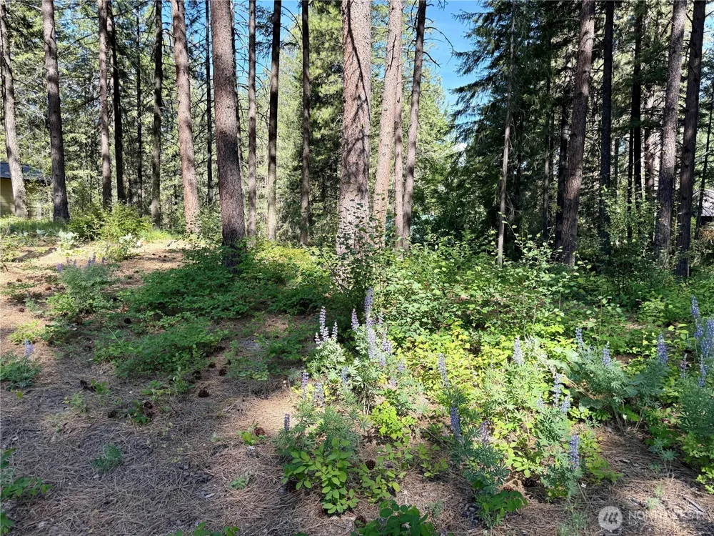 11 Highland Meadows Winthrop, WA 98862