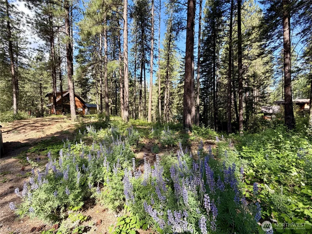 11 Highland Meadows Winthrop, WA 98862