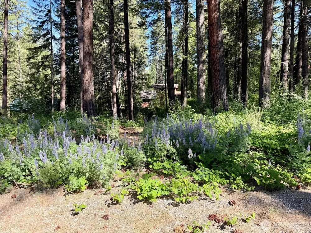 11 Highland Meadows Winthrop, WA 98862