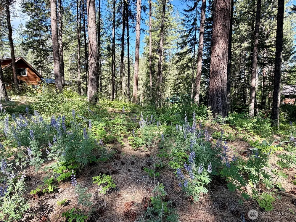 11 Highland Meadows Winthrop, WA 98862