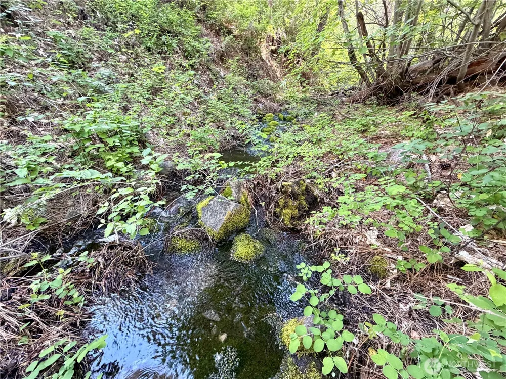 11 Highland Meadows Winthrop, WA 98862