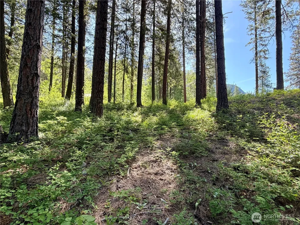 11 Highland Meadows Winthrop, WA 98862