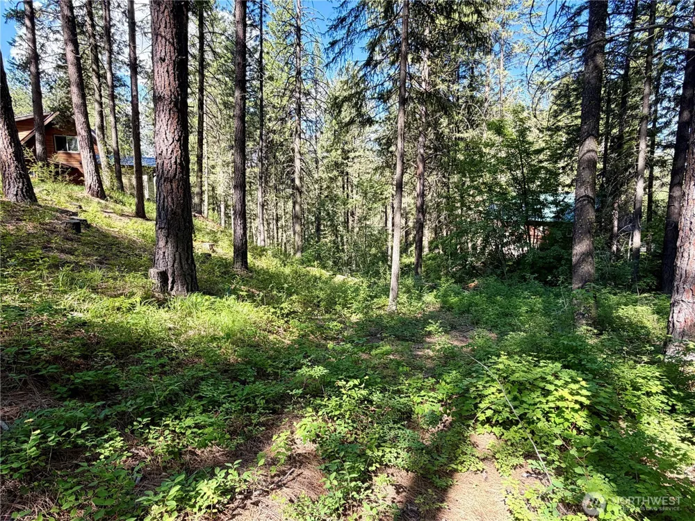 11 Highland Meadows Winthrop, WA 98862