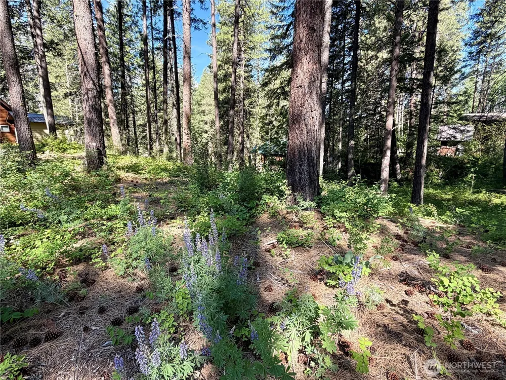 11 Highland Meadows Winthrop, WA 98862