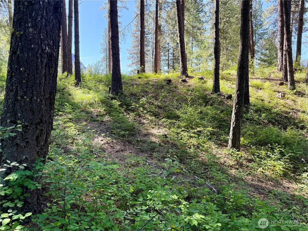 11 Highland Meadows Winthrop, WA 98862