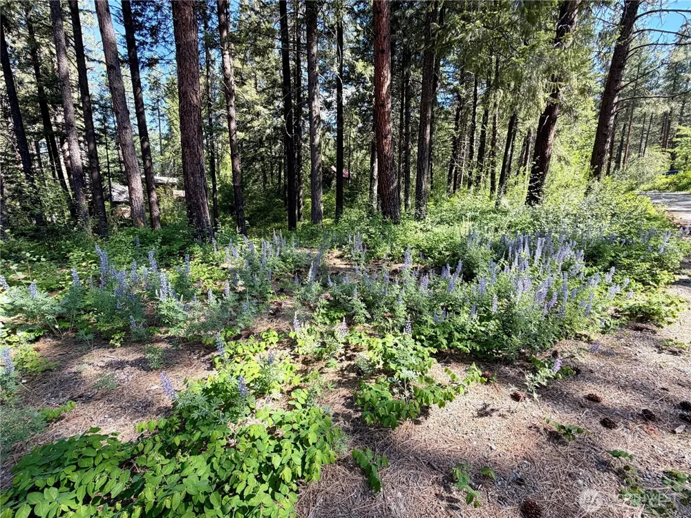11 Highland Meadows Winthrop, WA 98862