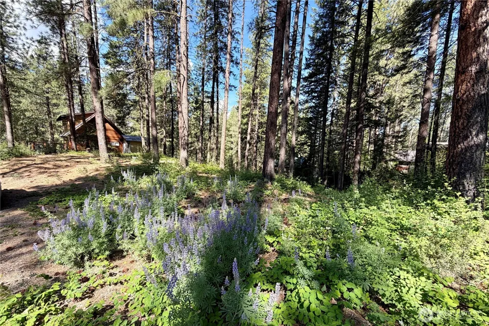 11 Highland Meadows Winthrop, WA 98862