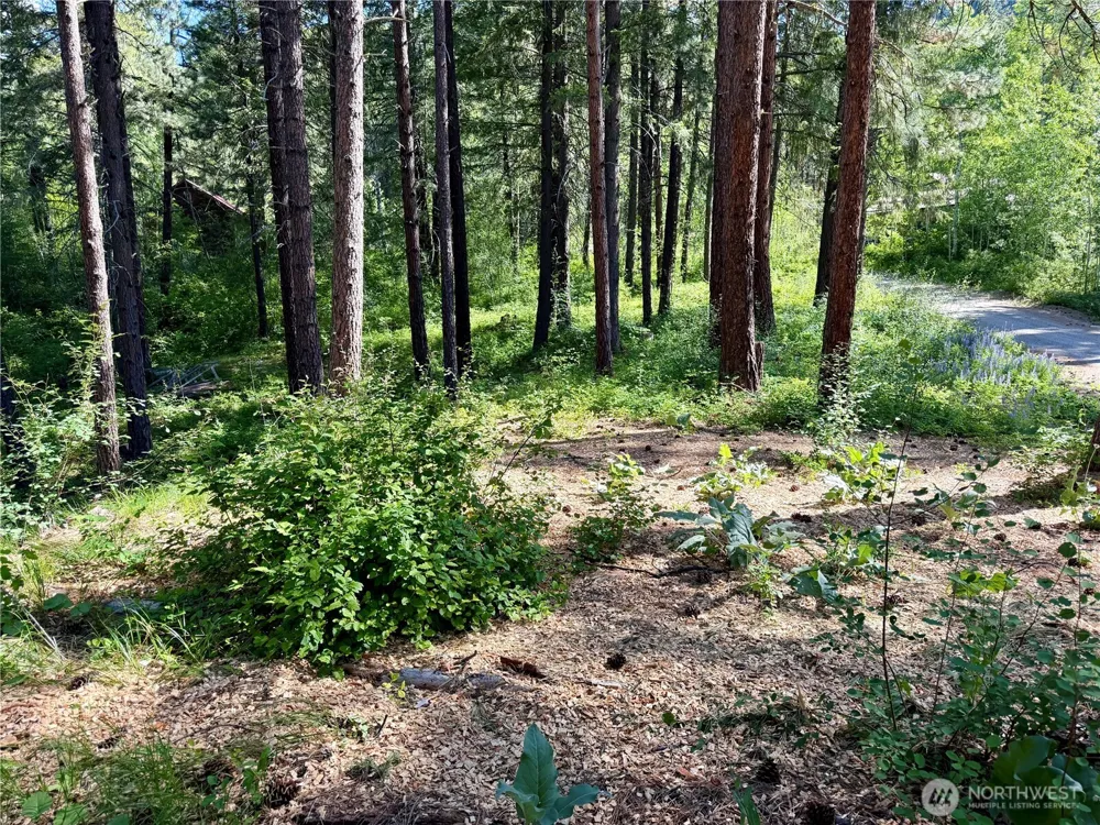 11 Highland Meadows Winthrop, WA 98862
