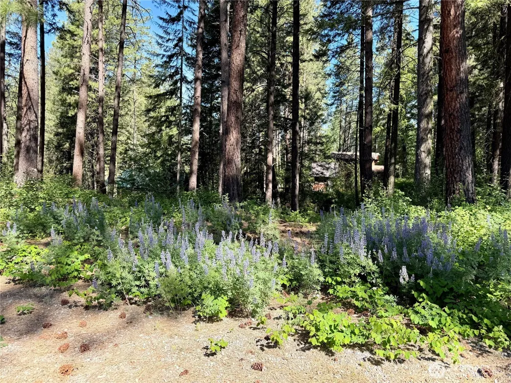 11 Highland Meadows Winthrop, WA 98862