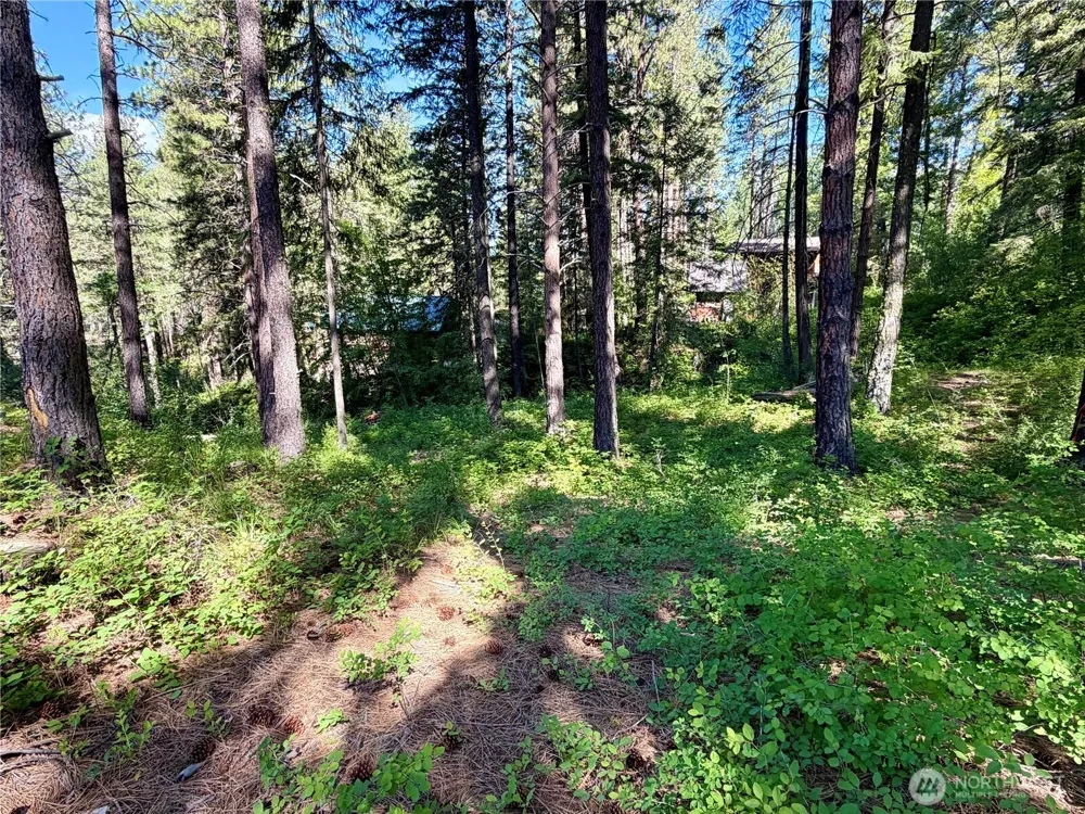 11 Highland Meadows Winthrop, WA 98862